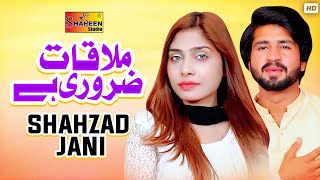 Mulaqat Zaroori Hay   Official Video  Shahzad Janis Impactful Video [upl. by Ahsykal]