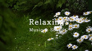 Debussy Clair de Lune  Relaxing Piano Music Rain Sound Calm piano Peaceful Deep Sleep [upl. by Junieta21]