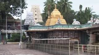 SRISAILAM MALLIKARJUNA SWAMY TEMPLE IN ANDHRA PRADESH  NALLAMALA FOREST [upl. by Ponzo47]