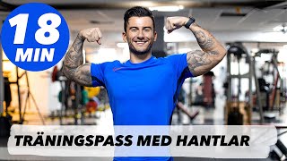 GRYMT TRÄNINGSPASS MED HANTLAR  TRAINWITHSMAIL [upl. by Atilal]