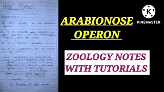 ARABINOSE OPERON HINDI EXPLAINATION araoperon zoologynotes cellbiologynotes bsc1styearzoology [upl. by Buckler]