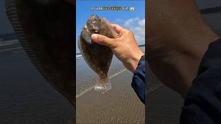 WOW i found rare unique fish trapped in beach 🥺 [upl. by Schnorr]