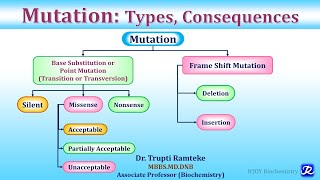 Mutation Types amp Consequences  Molecular Biology  Biochemistry  NJOY Biochemistry [upl. by Naimed]