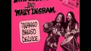 David Lindley amp Wally Ingram  Minglewood Blues Aka New Minglewood Blues45 Blues [upl. by Olathe]