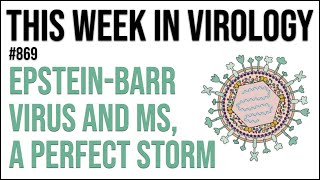 TWiV 869 EpsteinBarr virus and MS a perfect storm [upl. by Eadrahc]