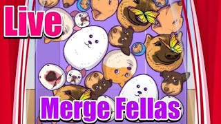 Merge fellas gameplay is now live [upl. by Ettenuj]