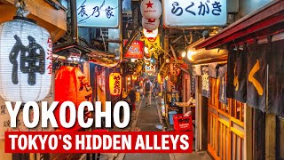 What is a Yokocho Tokyo’s Culinary and Boozey Back Streets [upl. by Nedry344]