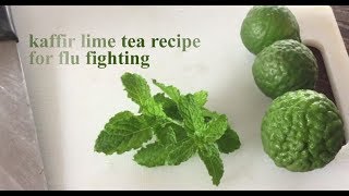 Kaffir Lime Honey Tea Recipe for Flu Fighting มะกรูด [upl. by Fairman]