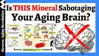 The Shocking Link of THIS Mineral amp Your Aging Brain  Exploring Promising Therapeutic Strategies [upl. by Julian]