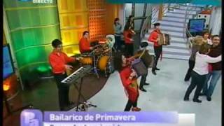 Minhotos Marotos 961479169  TV  Musica Popular  Desgarradas [upl. by Sukey]