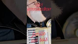 L ACCORDÉON à la loupe  shorts music accordion [upl. by Eiduj]