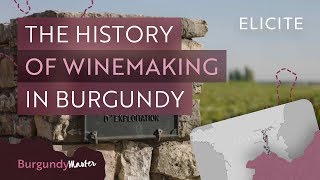 The History Of Winemaking In Burgundy [upl. by Airdnek]