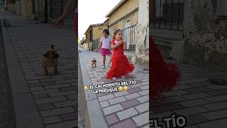 🐶EL CACHORRITO DEL TÍO LA PERSIGUE🤣🤣RUTH SHORTS cachorro risas naluchivlog [upl. by Nnaeirual]