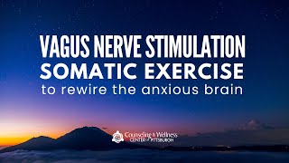 Vagus Nerve Stimulation to Release Anxiety Somatic Practices for Stress [upl. by Gnah]