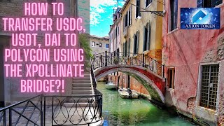 How to Transfer USDC USDT DAI to POLYGON using the Xpollinate bridge ARBITRUM BSC FANTOM xDAI [upl. by Ewan]