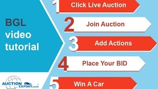 BidGoLivecom – powered by AuctionExportcom  Buying a Car from IAA Auctions [upl. by Batruk686]