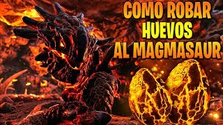 COMO CONSEGUIR HUEVOS DE MAGMASAUR DE FORMA FACIL  LOCALIZACION DE SU COMIDA  CRIANZA [upl. by Maible]