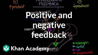 Physiological concept of positive and negative feedback  Behavior  MCAT  Khan Academy [upl. by Lipp568]