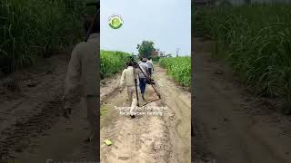 Program Jalandhar Doordarshan subscribe channel and watch full video riarsugarcanefarm farming [upl. by Teleya]