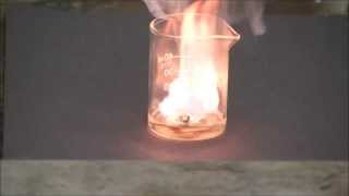 Potassium metal reacts with concentrated sulfuric acid [upl. by Ebehp]