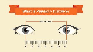 How to Measure Your Pupillary Distance PD by EyeGlassesOnlineinfo and Zenni Optical [upl. by Ynaffyt427]