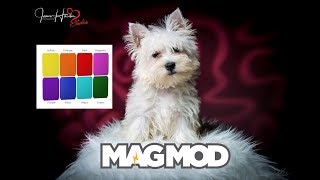 Magmod Review Using the Magbeam for creative backgrounds [upl. by Sloane]