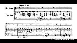 Erlkönig  Original Key  Piano Accompaniment [upl. by Timon120]