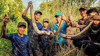 Về Tiền Giang Đào Hang Lươn Bắt Rắn Cùng Anh Em Team Gấc Quê [upl. by Emmerich]