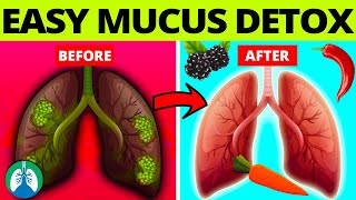 Top 10 Foods to Detox and Cleanse Mucus From Your Lungs [upl. by Sansbury453]