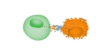 Oncolytic Virus Therapy Dynamite for Cancer Cells [upl. by Johppah]