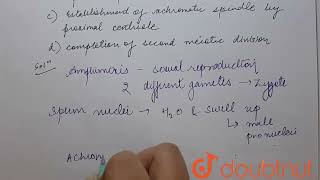 What is incorrect during amphimixis  12  HUMAN REPRODUCTION  BIOLOGY  DINESH PUBLICATION EN [upl. by Notgnilliw]