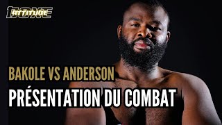 Avant combat Jared Anderson vs Martin Bakole [upl. by Lekzehcey]