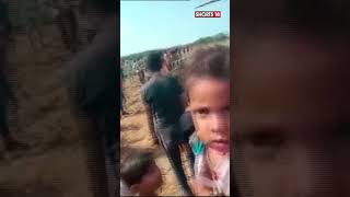 Precautionary Landing Of An Apache Helicopter In Madhya Pradesh  IAF  Shorts  Viral Videos [upl. by Bobby332]