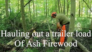 Hauling a load of Ash Firewood out of the woods firewood [upl. by Dleifxam499]