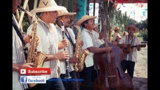 Orquesta Purhepecha La Herencia de Ocumicho Michoacan Album Completo [upl. by Rodgiva]