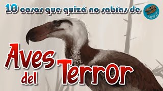 10 Cosas que quizá no sabías de AVES DEL TERROR [upl. by Zeuqram]