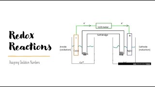 Redox Basics and Assigning Oxidation Numbers [upl. by Musa769]