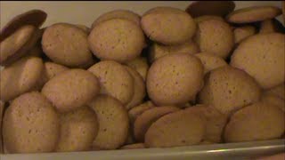 Homemade Vanilla Wafers [upl. by Conger136]