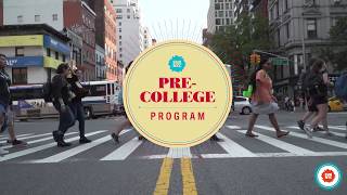 SVA PreCollege Summer Program [upl. by Fasto222]