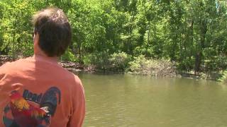 Redear and Bluegill on Lake Barkley [upl. by Nawtna]