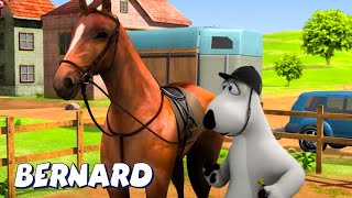 Bernard Bear  Horse Race AND MORE  Cartoons for Children  Full Episodes [upl. by Enneirda892]