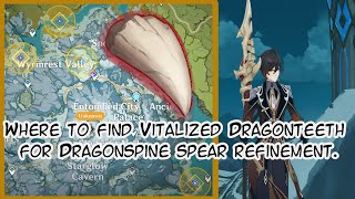 Genshin Impact Where to Find Vitalized Dragontooth Dragonspine Spear Refinement Material [upl. by Zsa Zsa]