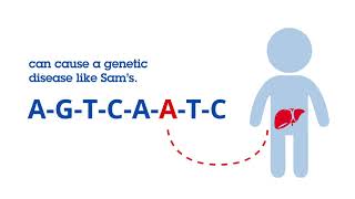 Gene Therapy Animation [upl. by Enomis]