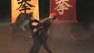 Leung Ting Wing Tsun Hungary SiJo 60 [upl. by Auqenwahs]