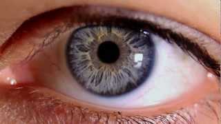 Macro Video of Human Eye amp Iris [upl. by Udale]