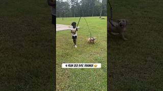 🤩 Amazing 4 year old dog trainer ❤️ Alandise Harris Jr burrnationk9s puppy dogtraining baby [upl. by Anilah]