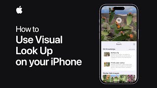 How to use Visual Look Up on your iPhone  Apple Support [upl. by Henebry]