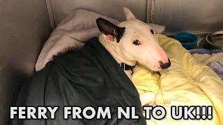 ROCKY takes the STENA LINE FERRY from HOLLAND to the UK [upl. by Twelve]