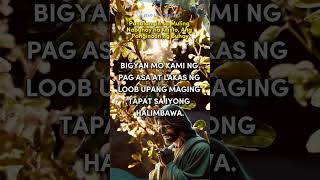 Panalangin sa Muling Nabuhay na Kristo 🙏 panalangin dailyprayer morningprayer [upl. by Barnie]