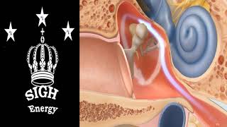 Eustachian tube dysfunction Healing and Regeneration EXTREMELY POWERFULEnergetically Programmed [upl. by Najib]